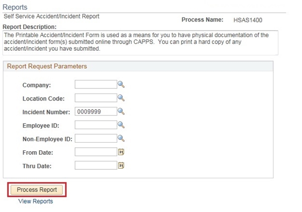 Image of the Reports page. The image shows a highlighted box around the Process Report button.